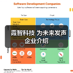 霞智科技 为未来发声 | 企业介绍（图3）