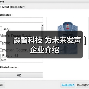 霞智科技 为未来发声 | 企业介绍（图1）
