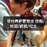草坪养护更专业 修剪/梳草/修根/松土（图1）