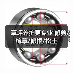 草坪养护更专业 修剪/梳草/修根/松土（图4）