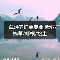 草坪养护更专业 修剪/梳草/修根/松土（图1）
