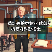 草坪养护更专业 修剪/梳草/修根/松土（图2）