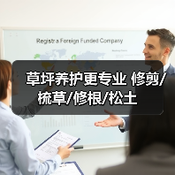 草坪养护更专业 修剪/梳草/修根/松土（图3）