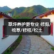 草坪养护更专业 修剪/梳草/修根/松土（图3）