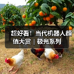 超好看！当代机器人颜值大赏｜极光系列（图4）
