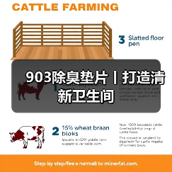 903除臭垫片丨打造清新卫生间（图4）