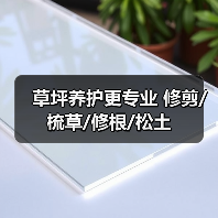草坪养护更专业 修剪/梳草/修根/松土（图2）