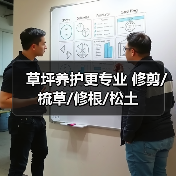 草坪养护更专业 修剪/梳草/修根/松土（图4）