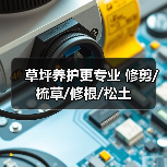 草坪养护更专业 修剪/梳草/修根/松土（图2）