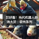 超好看！当代机器人颜值大赏｜极光系列（图4）