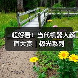 超好看！当代机器人颜值大赏｜极光系列（图2）