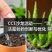 CCE沙龙活动——“清洁服务的创新与优化 探索降本增效的新途径”圆满落幕（图4）