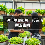 903除臭垫片丨打造清新卫生间（图3）