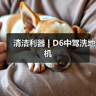 清洁利器 | D6中驾洗地机（图1）