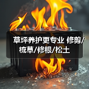 草坪养护更专业 修剪/梳草/修根/松土（图4）