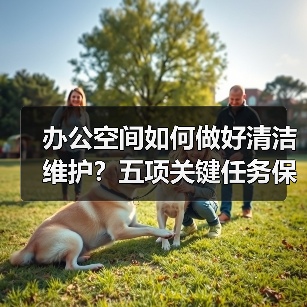 办公空间如何做好清洁维护？五项关键任务保障您的舒适办公！（图3）