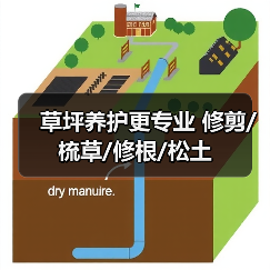 草坪养护更专业 修剪/梳草/修根/松土