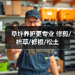 草坪养护更专业 修剪/梳草/修根/松土（图3）