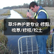 草坪养护更专业 修剪/梳草/修根/松土（图2）