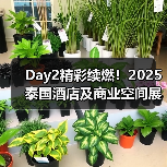 Day2精彩续燃！2025泰国酒店及商业空间展盛况直击（图3）