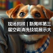 现场回顾 | 新晃杯第三届空调清洗技能展示大赛及空调卫生管理数字化转型和双碳工作的深度融合论坛圆满落幕，精彩内容回看！（图4）