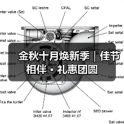 金秋十月焕新季｜佳节相伴 · 礼惠团圆（图2）
