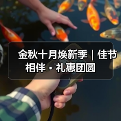 金秋十月焕新季｜佳节相伴 · 礼惠团圆（图1）