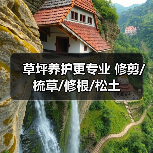 草坪养护更专业 修剪/梳草/修根/松土（图1）