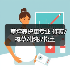 草坪养护更专业 修剪/梳草/修根/松土（图2）