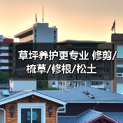 草坪养护更专业 修剪/梳草/修根/松土（图3）