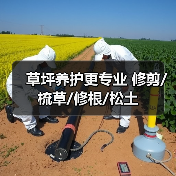 草坪养护更专业 修剪/梳草/修根/松土（图4）