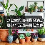办公空间如何做好清洁维护？五项关键任务保障您的舒适办公！（图1）