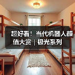 超好看！当代机器人颜值大赏｜极光系列（图4）