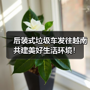 后装式垃圾车发往越南 共建美好生活环境！（图3）