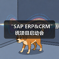 “SAP ERP&CRM”系统项目启动会（图4）