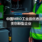 中国MRO工业品优选品类创新型企业（图2）