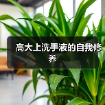 高大上洗手液的自我修养（图1）