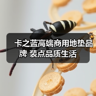 卡之蓝高端商用地垫品牌 装点品质生活（图1）