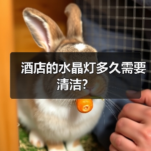 酒店的水晶灯多久需要清洁？（图4）