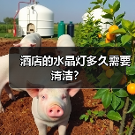 酒店的水晶灯多久需要清洁？（图2）