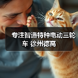 专注智造特种电动三轮车 徐州德高（图2）