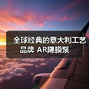 全球经典的意大利工艺品牌 AR隔膜泵（图3）