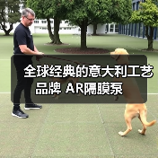 全球经典的意大利工艺品牌 AR隔膜泵（图4）