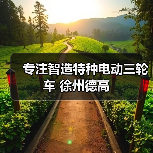 专注智造特种电动三轮车 徐州德高（图3）