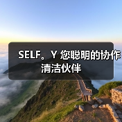SELF。Y 您聪明的协作清洁伙伴（图1）