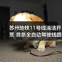 苏州地铁11号线清洁开荒 首条全自动驾驶线路如何保障卫生？（图4）