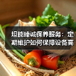 坦能臻诚保养服务：定期维护如何保障设备高效运行？（图2）