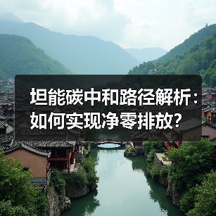 坦能碳中和路径解析:如何实现净零排放?(图1) 坦能碳中和路径解析:如何实现净零排放?(图1)