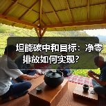 坦能碳中和目标:净零排放如何实现?(图2) 坦能碳中和目标:净零排放如何实现?(图2)