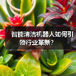 智能清洁机器人如何引领行业革新？（图2）